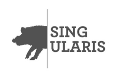 SINGULARIS Logo (EUIPO, 10.08.2012)