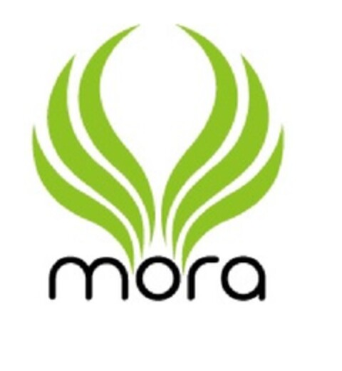 mora Logo (EUIPO, 08.05.2013)