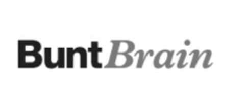 BUNTBRAIN Logo (EUIPO, 24.02.2016)