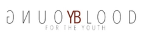 YOUNG BLOOD YB FOR THE YOUTH Logo (EUIPO, 20.03.2019)