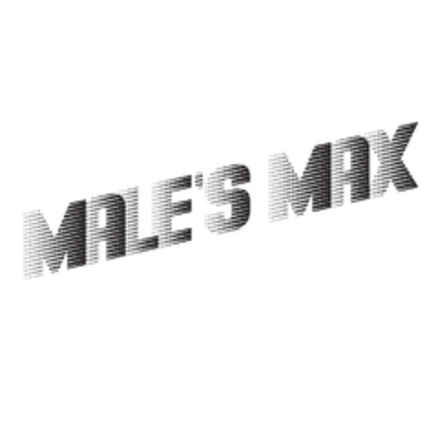 MALE'S MAX Logo (EUIPO, 23.08.2019)