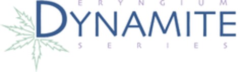 ERYNGIUM DYNAMITE SERIES Logo (EUIPO, 24.07.2013)