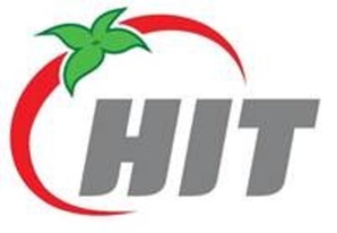 HIT Logo (EUIPO, 11/20/2013)