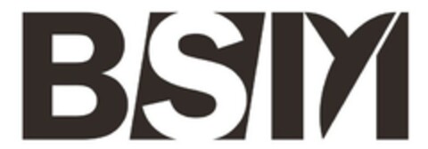 BSM Logo (EUIPO, 02.11.2016)
