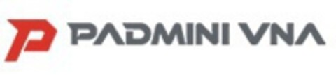 P PADMINI VNA Logo (EUIPO, 27.12.2019)