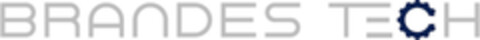 BRANDES TECH Logo (EUIPO, 02/04/2022)