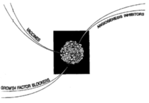 VACCINES ANGIOGENESIS INHIBITORS GROWTH FACTOR BLOCKERS Logo (EUIPO, 24.10.2000)