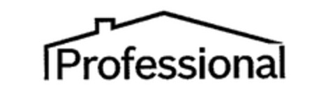 Professional Logo (EUIPO, 18.10.2007)