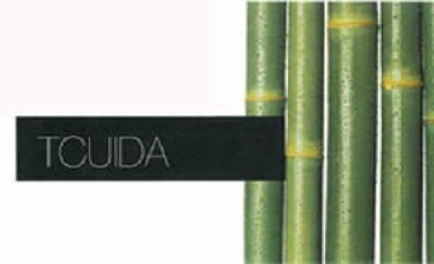 TCUIDA Logo (EUIPO, 02.04.2012)