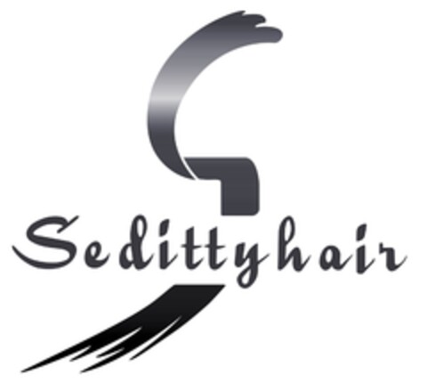 S SEDITTYHAIR Logo (EUIPO, 27.07.2018)