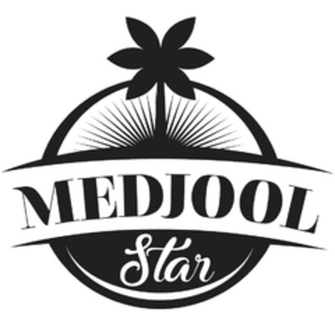 MEDJOOL STAR Logo (EUIPO, 08.06.2020)