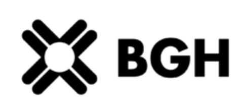 BGH Logo (EUIPO, 17.12.2020)