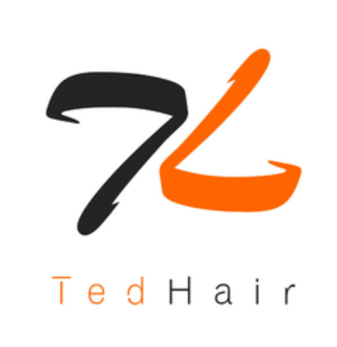 TedHair Logo (EUIPO, 08/19/2022)