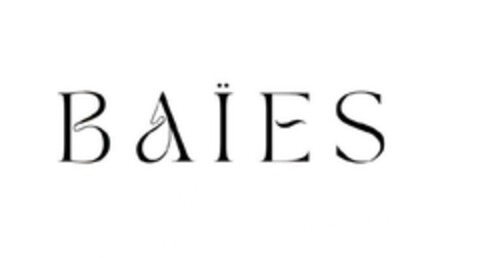 BAIES Logo (EUIPO, 04/27/2023)