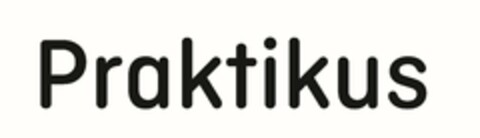 Praktikus Logo (EUIPO, 28.06.2023)