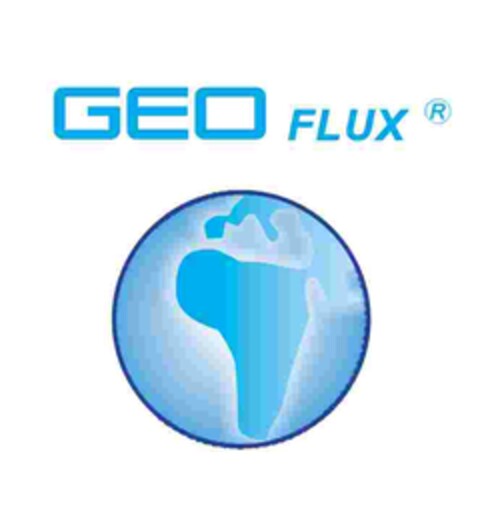 GEO FLUX Logo (EUIPO, 01/18/2007)