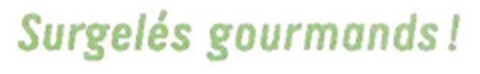 Surgelés gourmands ! Logo (EUIPO, 15.10.2007)