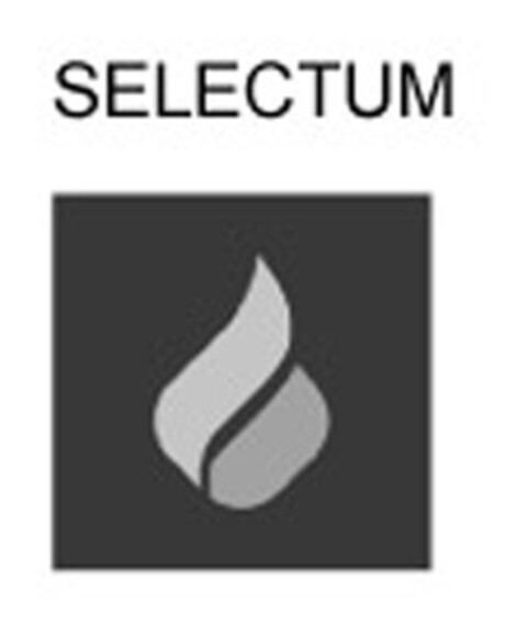 SELECTUM Logo (EUIPO, 14.04.2014)