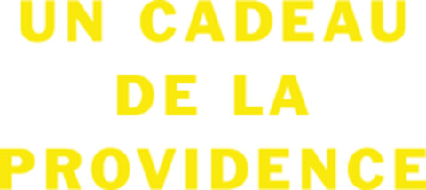 UN CADEAU DE LA PROVIDENCE Logo (EUIPO, 07/20/2015)