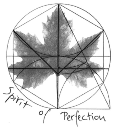 Spirit of Perfection Logo (EUIPO, 15.07.2016)