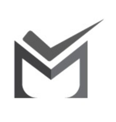 M Logo (EUIPO, 31.05.2018)