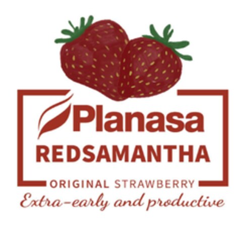 PLANASA REDSAMANTHA ORIGINAL STRAWBERRY EXTRA-EARLY AND PRODUCTIVE Logo (EUIPO, 19.06.2020)