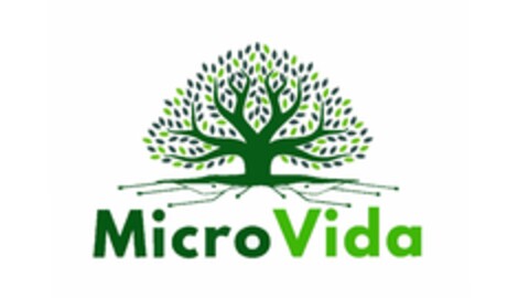 MicroVida Logo (EUIPO, 06.06.2024)