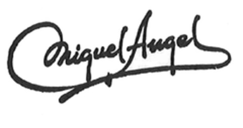 Miguel Angel Logo (EUIPO, 30.04.2009)