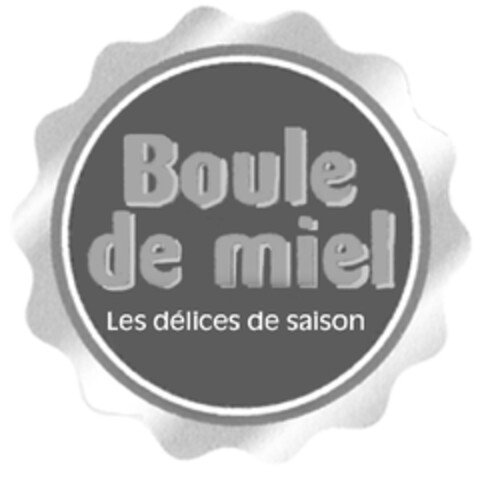 BOULE DE MIEL LES DÉLICES DE SAISON Logo (EUIPO, 22.04.2010)