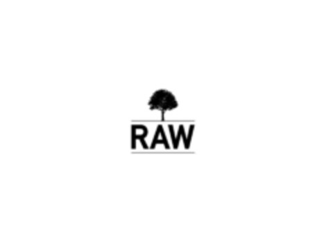 RAW Logo (EUIPO, 14.02.2017)