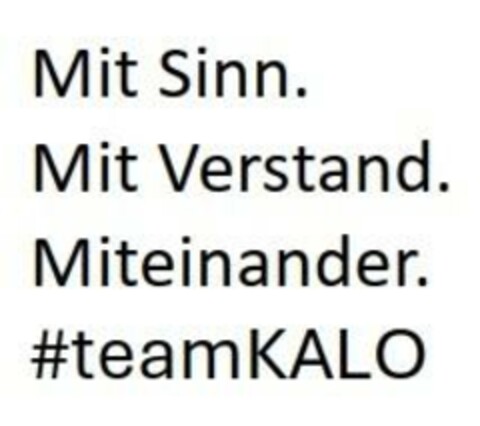 Mit Sinn. Mit Verstand. Miteinander. #teamKALO Logo (EUIPO, 05/30/2024)