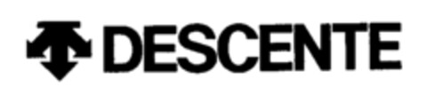 DESCENTE Logo (IGE, 04.03.1994)