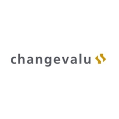 changevalu Logo (IGE, 19.04.2017)