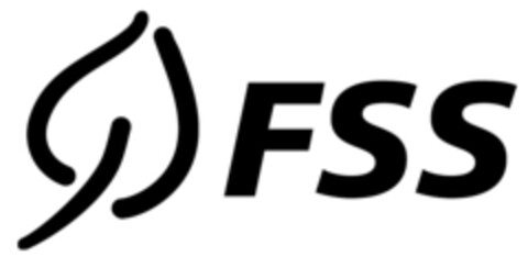 FSS Logo (IGE, 05/24/2012)
