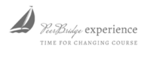 PeerBridge experience TIME FOR CHANGING COURSE Logo (IGE, 07.07.2020)