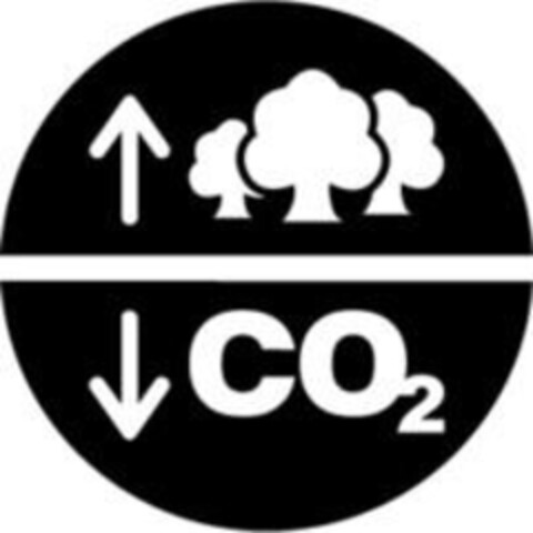 CO2 Logo (IGE, 14.05.2008)