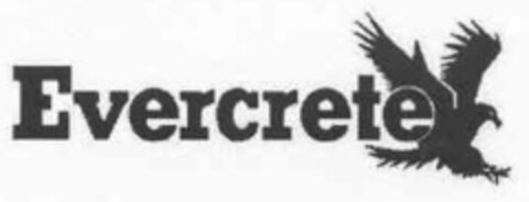 Evercrete Logo (IGE, 04.08.2005)