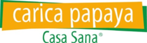 carica papaya Casa Sana Logo (IGE, 09/11/2013)
