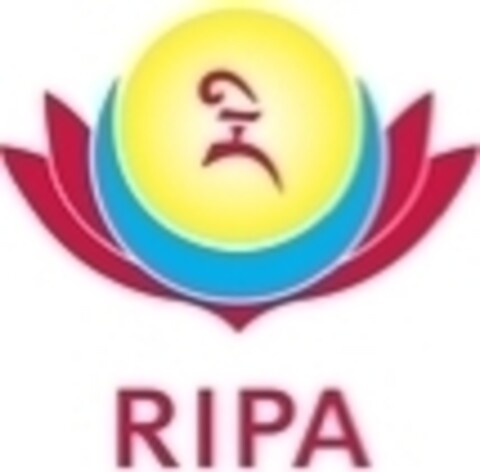 RIPA Logo (IGE, 27.12.2012)