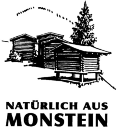 NATÜRLICH AUS MONSTEIN ((Fig.)) Logo (IGE, 01/02/2001)