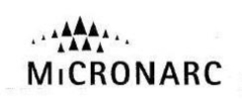 MICRONARC Logo (IGE, 09.01.2008)