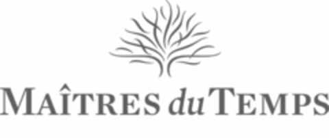 MAÎTRES du TEMPS Logo (IGE, 21.01.2008)