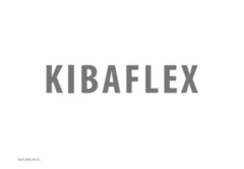 KIBAFLEX Logo (IGE, 10.01.2024)