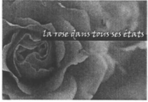 la rose dans tous ses états Logo (IGE, 25.10.2004)