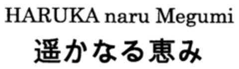 HARUKA naru Megumi Logo (IGE, 04.12.2003)