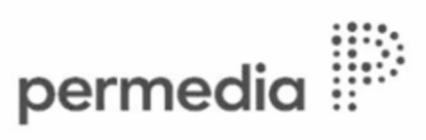 permedia P Logo (IGE, 10.06.2008)