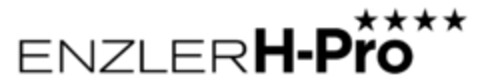 ENZLER H-Pro Logo (IGE, 09/08/2015)