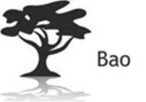 Bao Logo (IGE, 03.12.2015)