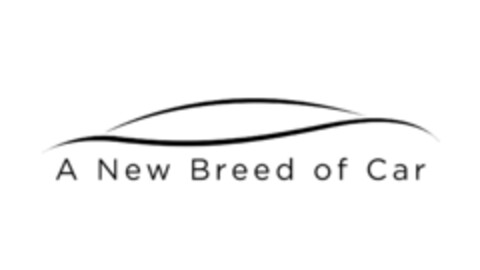 A New Breed of Car Logo (IGE, 13.07.2023)