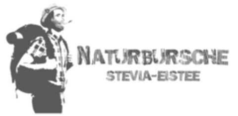 NATURBURSCHE STEVIA-EISTEE Logo (IGE, 03.01.2015)